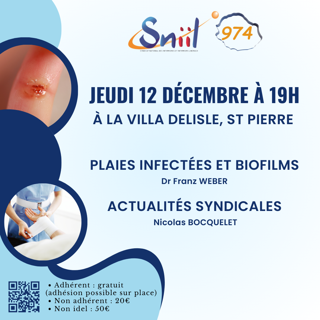 Sniil974 2024 12 12 PLAIES INFECTEES